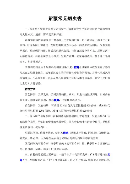 紫薇常见病虫害