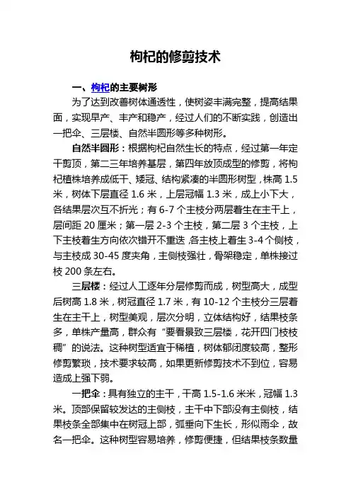 枸杞的整形修剪技术