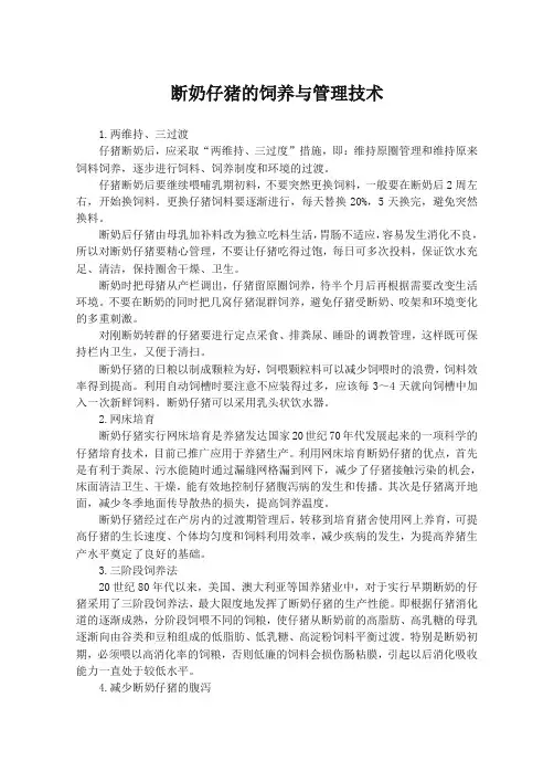 断奶仔猪的饲养与管理技术