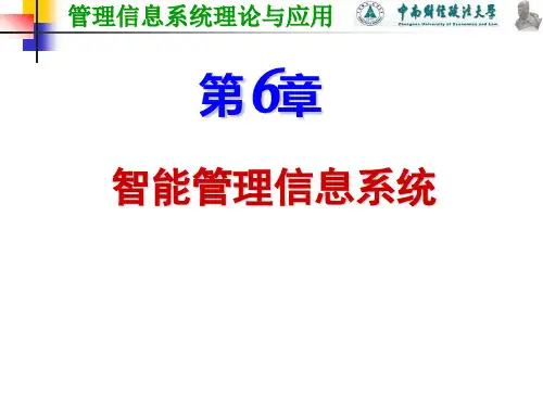6智能管理信息系统