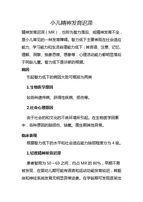 小儿精神发育迟滞