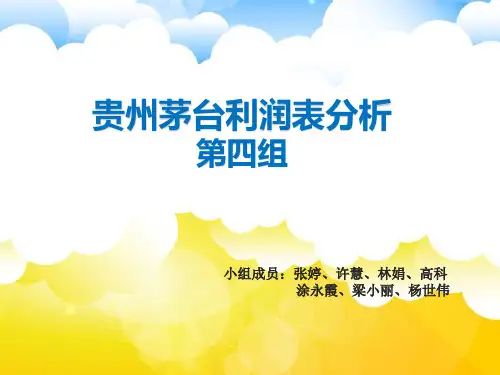 财务报表分析第四组(1)讲解