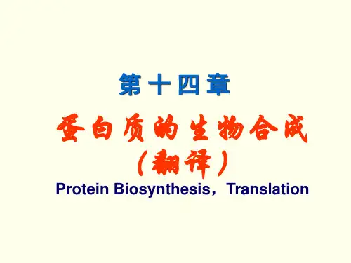 生物化学第14章翻译