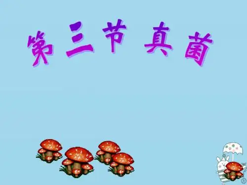 八年级生物上册5.4.3真菌课件1新版新人教版