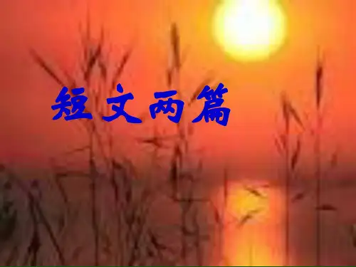 548巴金短文两篇PPT课件