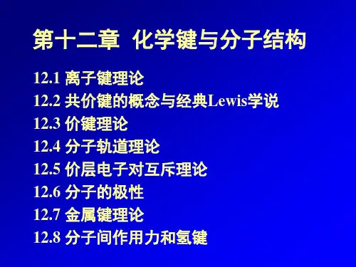 第十二章  化学键与分子结构-2