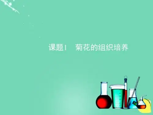 高中生物3.1《菊花的组织培养》课件新人教版选修1