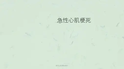 急性心肌梗死演示课件