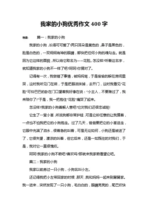 我家的小狗优秀作文400字
