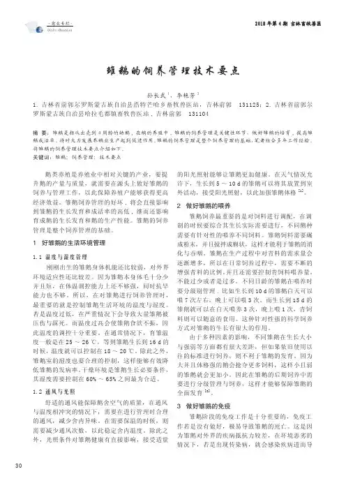 雏鹅的饲养管理技术要点