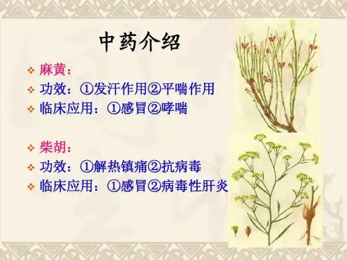 中药介绍
