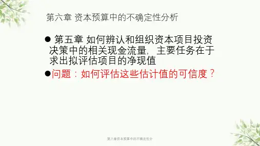 第六章资本预算中的不确定性分