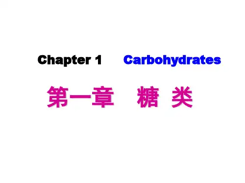 生物化学第一章 糖类 课堂讲义