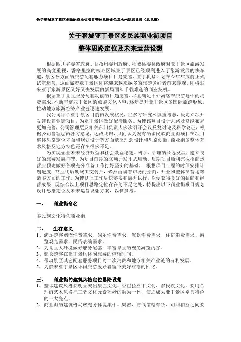 商业街定位及运营方案