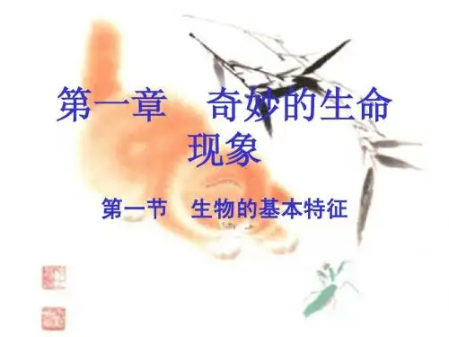 七年级生物上册_第一节_生物的特征课件_人教新课标版