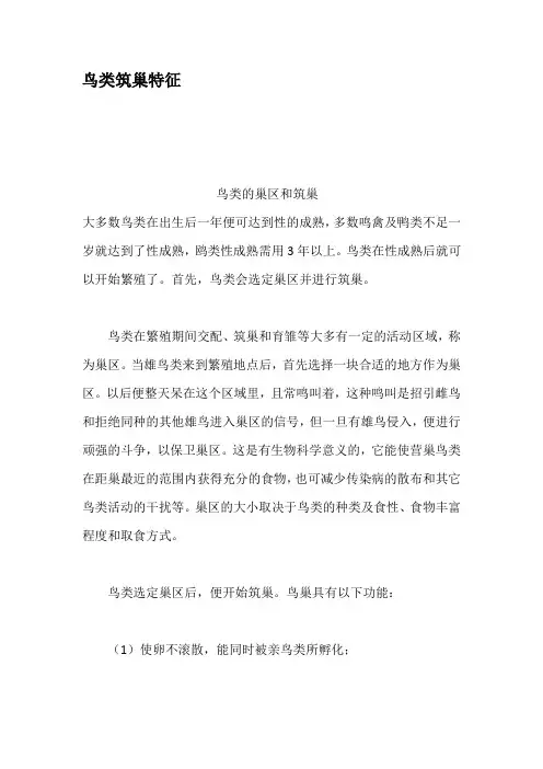鸟类筑巢特征
