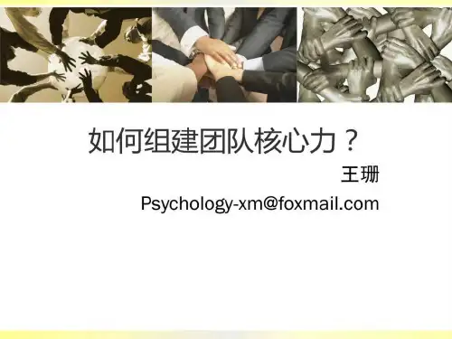如何组建团队核心力.ppt