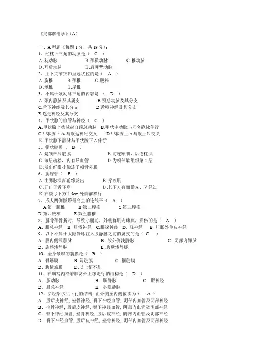 局部解剖学 2