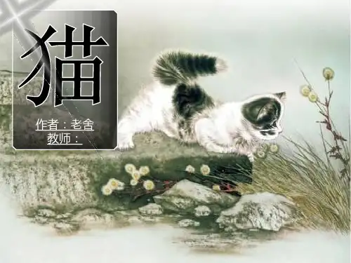 人教版小学语文四年级上册15《 猫》(第2课时)【自己修改】