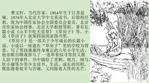草房子之孤独之旅