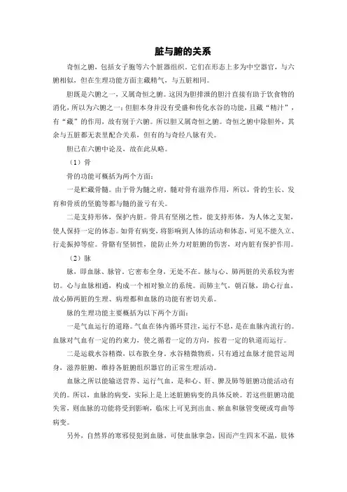 脏与腑的关系