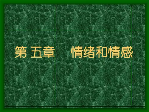 第五章 消费者的情绪情感