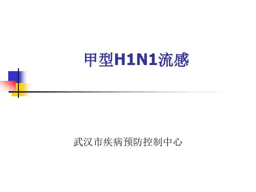 甲型H1N1流感基本情况