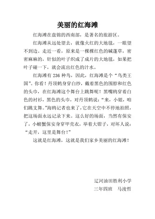 美丽的红海滩 马浚哲