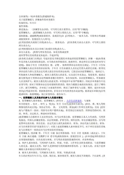 案件审查报告
