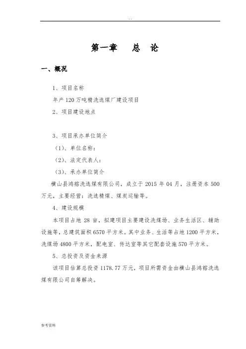 年产120万吨精洗选煤厂建设项目可行性实施报告