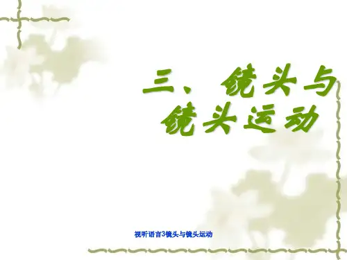 视听语言3镜头与镜头运动 ppt课件