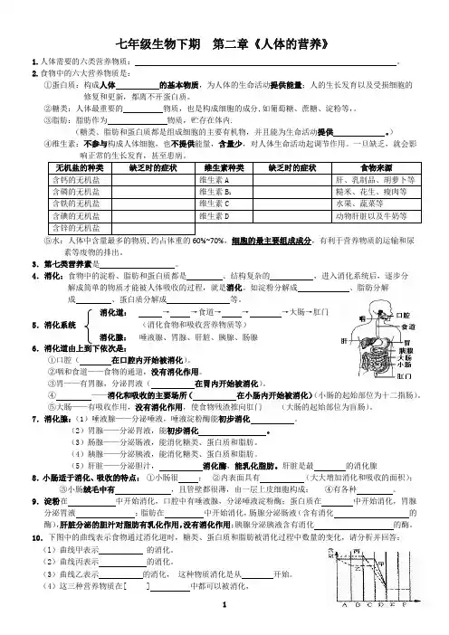 七年级生物下期  第二单元练习题