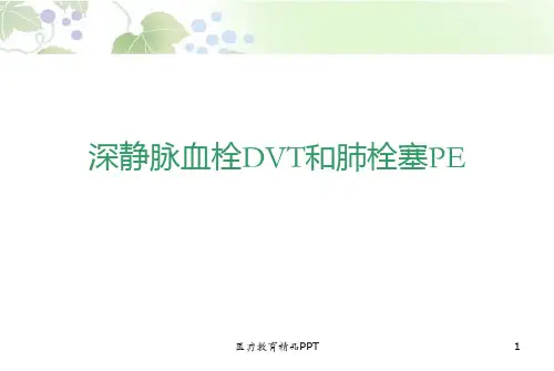 肺栓塞PPT幻灯片