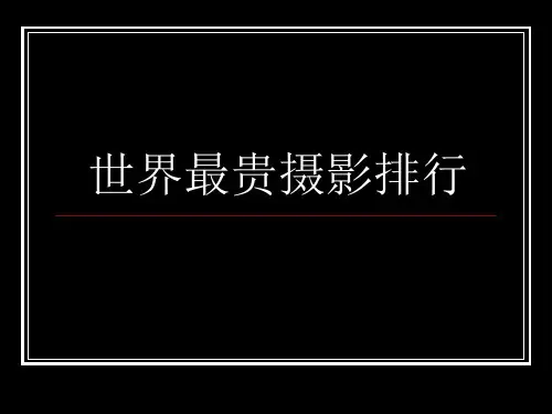 世界最贵摄影排行