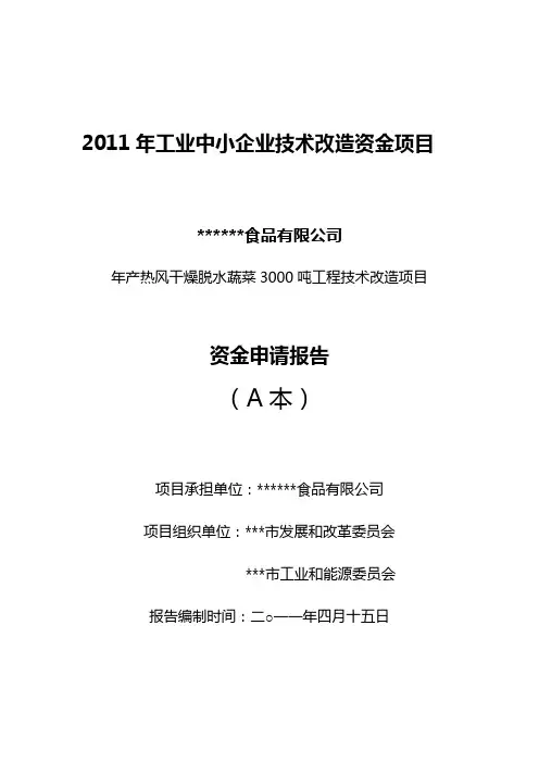 切块资金项目申请报告