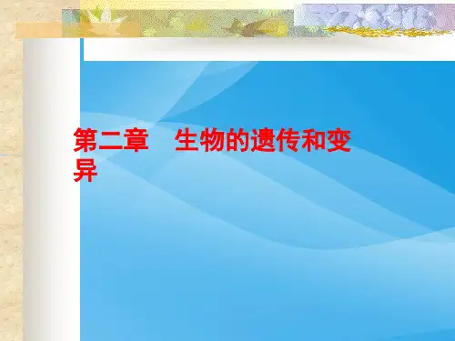 生物的遗传和变异生物课件PPT