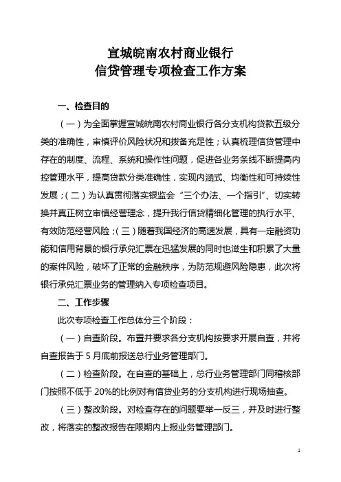 宣城皖南农村商业银行信贷管理专项检查工作方案