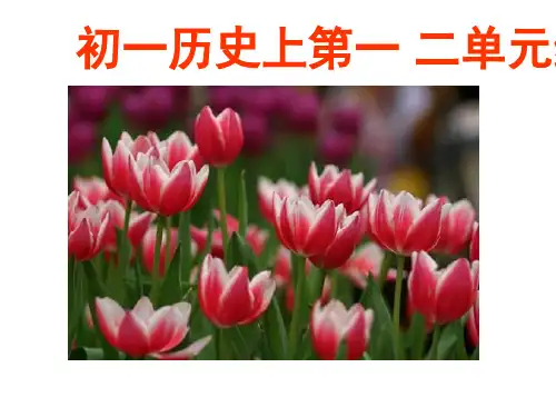 初一历史上第一 二单元练习题