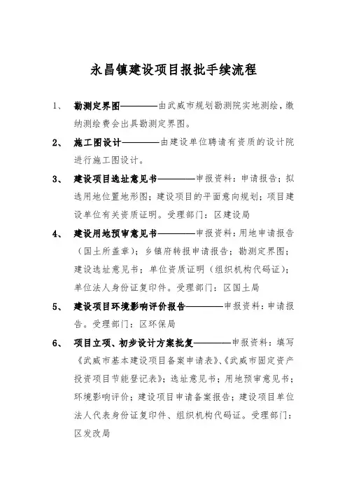 项目办理流程图
