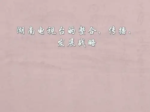湖南电广传媒集团