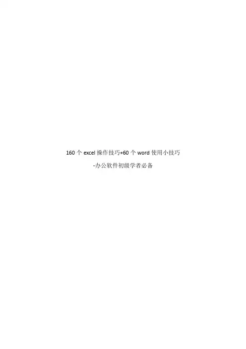 160个excel操作技巧+60个word使用小技巧-办公软件初级学者必备