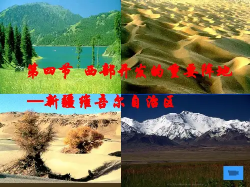 第四节 西部开发的重要阵地——新疆维吾尔自治区