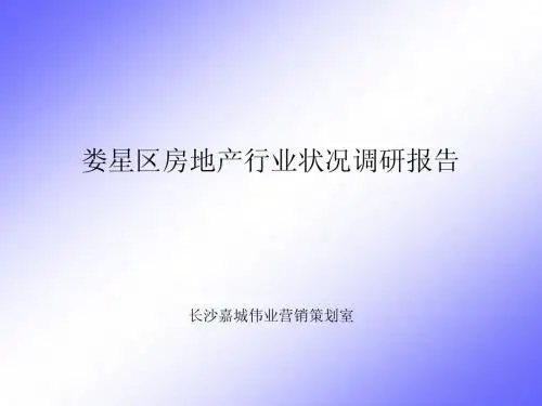 娄底房地产行业市调报告