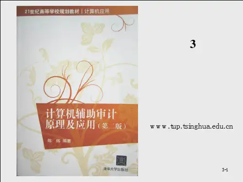 计算机辅助审计原理及应用-第3章 审计软件
