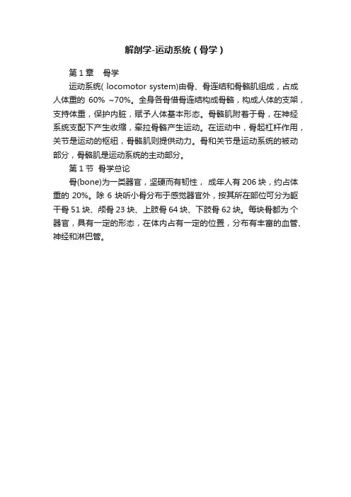 解剖学-运动系统（骨学）