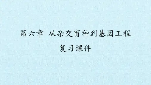 人教版必修2生物：第六章 从杂交育种到基因工程 复习课件 课件(共69张PPT)