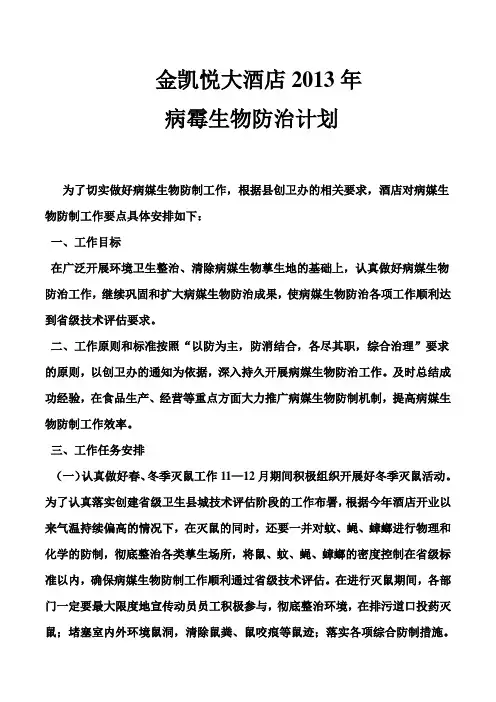 2013年工作计划