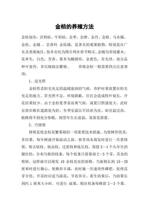 金桔的养殖方法