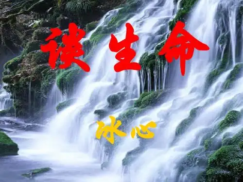 《谈生命》课件,九年级下册第三单元《谈生命》课件