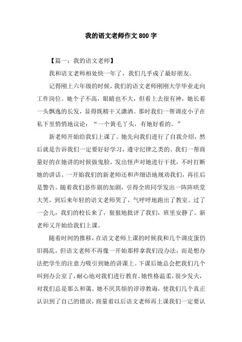 我的语文老师作文800字_1